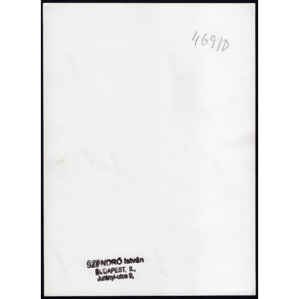 Nagyobb méret, Szendrő István fotóművészeti alkotása, matyó népviseletben a díszes festett láda mellett, Mezőkövesd, parasztház belseje, kemence, minták, motívumok, szoknya, 1930-as évek. Eredeti, pec