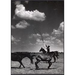   Nagyobb méret, Szendrő István fotóművészeti alkotása, lovakkal a pusztában, ostor, kalap, 1930-as évek. Eredeti, pecséttel jelzett fotó, papírkép. Dekorációnak, ajándéknak is kiváló. 