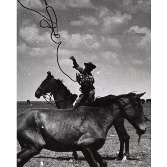 Nagyobb méret, Szendrő István fotóművészeti alkotása, lovakkal a pusztában, ostor, kalap, 1930-as évek. Eredeti, pecséttel jelzett fotó, papírkép. Dekorációnak, ajándéknak is kiváló. 