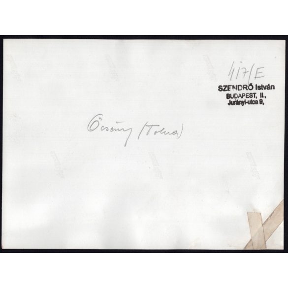 Nagyobb méret, Szendrő István fotóművészeti alkotása, lányok, őcsényi (Tolna megye) népviseletben, fejfedő, szoknya, ékszer, 1930-as évek. 