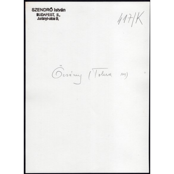 Nagyobb méret, Szendrő István fotóművészeti alkotása, fiatal pár őcsényi (Tolna megye) népviseletben, kalap, szoknya, ékszerek, 1930-as évek. Eredeti, pecséttel jelzett fotó. 