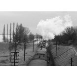 Kotnyek Antal fotóriporter munkája, gőzmozdony vontatta személyvonat a Balaton partján, jármű, közlekedés, kommunizmus, 1950-es évek,  Eredeti nagyméretű fotó negatív! 