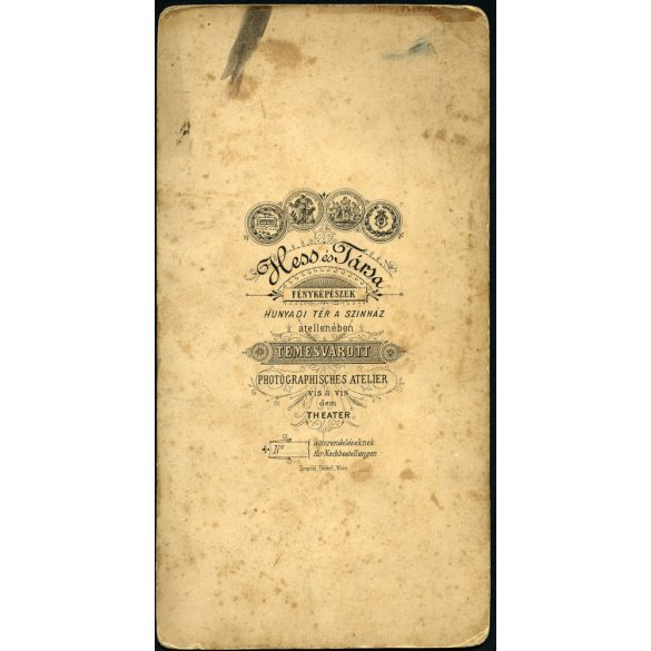 Nagyobb méret, Hess és Társa műterem, Temesvár, Erdély, elegáns hölgy gyönyörű ruhában, csipke, napernyő, virág, monarchia, 1890-es évek, Eredeti kabinetfotó, felülete enyhén foltos.