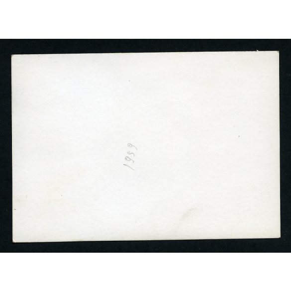 Kékes oldalkerekes gőzhajó, Budapest, Duna, Szabadság híd, jármű, közlekedés, szocializmus, 1950-es évek, Eredeti fotó, papírkép.  