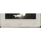 Nagyobb méret, Jelussich műterem,  ABBazia, Fiume, magyar családportré katona fiúkkal, egyenruha, érdemrend, 1. világháború, monarchia, 1910-es évek, Eredeti  nagyméretű kabinetfotó, felhajthatós védő