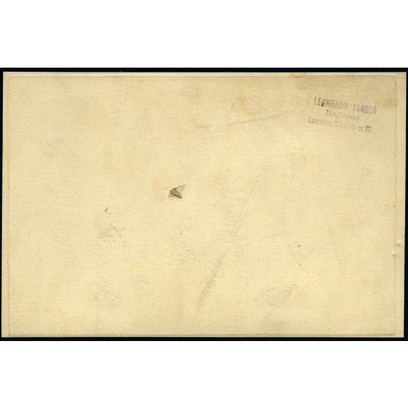 Nagyobb méret, Lehrbaum Sándor fényképész, Szerencs, lányok Csepel varrógépekkel, varrótanfolyam, Csepel varrógép poszter, Horthy-korszak, helytörténet, Borsod-Abaúj-Zemplén megye, 1920-as évek, Erede