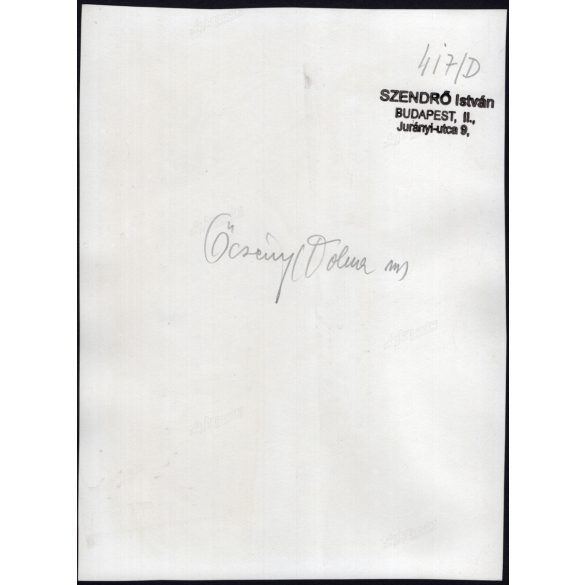 Nagyobb méret, Szendrő István fotóművészeti alkotása, fiatal lány, őcsényi (Tolna megye) népviseletben, szoknya, nyaklánc, fejfedő, 1930-as évek. 