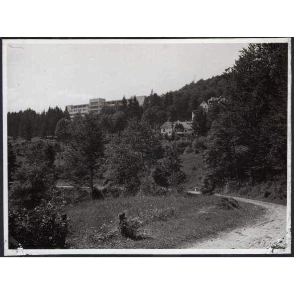 A sepsibükszádi szanatórium, Sepsibükszád, Kovászna megye, Erdély, utcakép, Horthy-korszak, helytörténet. 1940-es évek, Eredeti fotó, papírkép. 