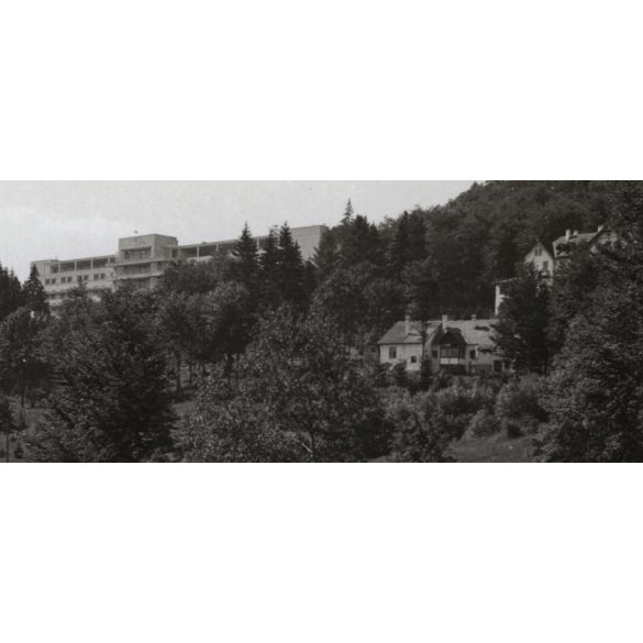 A sepsibükszádi szanatórium, Sepsibükszád, Kovászna megye, Erdély, utcakép, Horthy-korszak, helytörténet. 1940-es évek, Eredeti fotó, papírkép. 