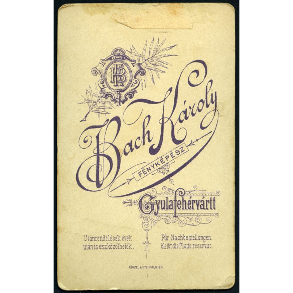 Bach műterem, Gyulafehérvártt (Gyulafehérvár), Erdély, elegáns fiatal férfi nyakkendőben, monarchia, 1890-es évek, Eredeti CDV, vizitkártya fotó gyönyörű hátlappal.   
