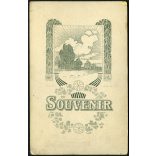 Ismeretlen műterem, esküvői portré, menyasszony, vőlegény, bajusz, virág, ünnep, monarchia, 1890-es évek, Eredeti  kabinetfotó gyönyörű hátlappal..   