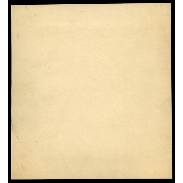 Nagyobb méret, úri társaság kirándulása, Fraknó, Burgerland, 1893. május 22, 1890-es évek, monarchia, helytörténet. Eredeti  kabinetfotó, kartonra ragasztott fotó, a kartonon a képen szereplők neveive