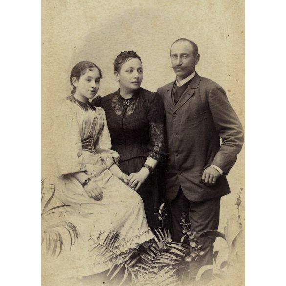 Nagyobb méret, Oroszi Lajos műterme, Nagybecskerek, Vajdaság, elegáns család portréja, 1890-es évek, monarchia, helytörténet. Eredeti nagyobb méretű kabinetfotó. 