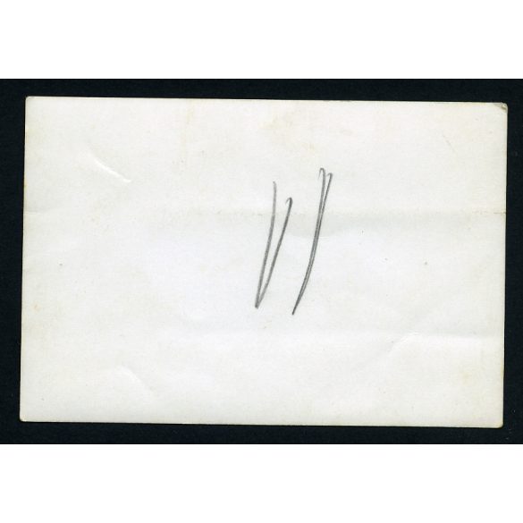 Családi kép Pannonia oldalkocsis motorkerékpárral, nagymama az oldalkocsiban, vicces, különös háttér, jármű, közlekedés, szocializmus, 1960-as évek, Eredeti fotó, papírkép.  