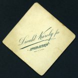 Divald Károly fia műterme (ritka), Eperjes, Felvidék, elegáns nő gyönyörű ruhában, monarchia, 1890-es évek, Eredeti CDV, vizitkártya fotó.