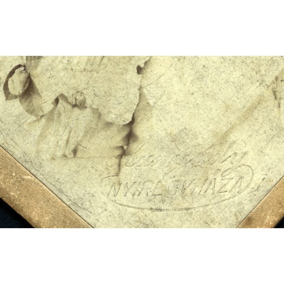 Hunyady és Hárth műterme, Nyíregyháza, elegáns testvérek, gyerekek gyönyörű ruhában, monarchia, 1880-as évek, Eredeti CDV, mélynyomóval jelzett vizitkártya fotó. 