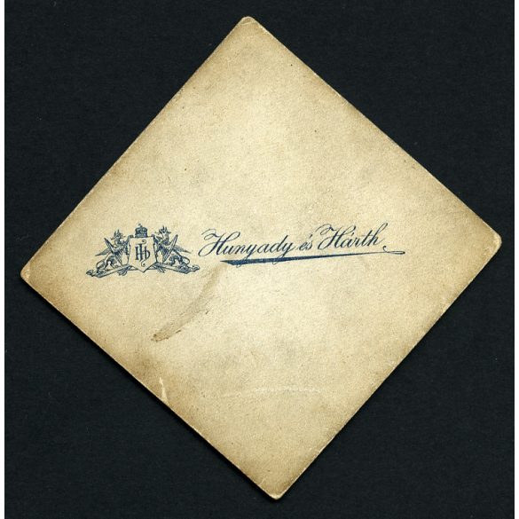 Hunyady és Hárth műterme, Nyíregyháza, elegáns testvérek, gyerekek gyönyörű ruhában, monarchia, 1880-as évek, Eredeti CDV, mélynyomóval jelzett vizitkártya fotó. 