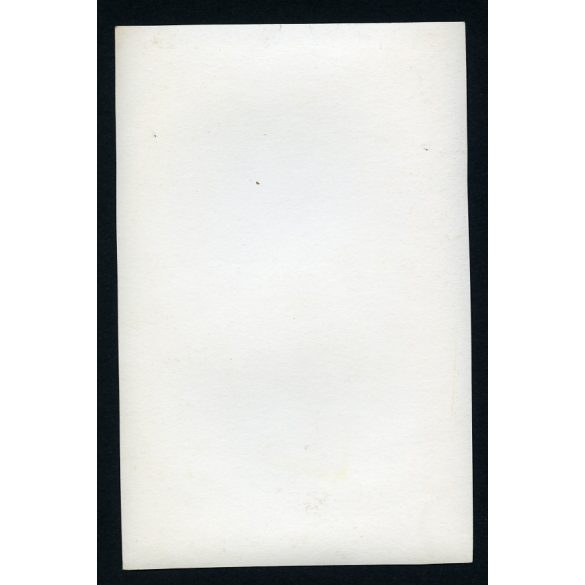 Májusfa állítás, Boldog, fiatal lány népviseletben, falu, paraszt, Horthy-korszak, néprajz, hagyomány, Heves megye, 1930-as évek, Eredeti fotó, papírkép.   