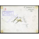 Nagyobb méret, használtcikk, használt ruhák boltja, Budapest, Óbuda, Vörösvári út 11., az épületet 1968-ban lebontották, üzlet, kirakat, szocializmus, helytörténet, 1960-as évek, Eredeti fotó, papírké