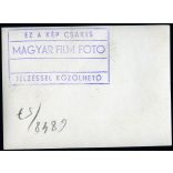 A 100. gépállomás avató ünnepség, Tard, parasztok Tard, Diósgyőr feliratú táblákkal, népviselet, néprajz, helytörténet, Borsod-Abaúj-Zemplén megye, 1948. december 5., 1940-es évek, kommunizmus. Eredet