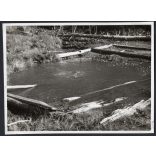 Szemvíz forrás Sepsibükszádon, Erdély, Kovászna megye, Horthy-korszak, természet, helytörténet, 1940-es évek, Eredeti fotó, papírkép. 