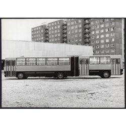  Nagyobb méret! Jobbkormányos exportra. Az Ikarus 281 típusú járműve az udvaron, Magyarország, utcakép, jármű, közlekedés, csuklós busz, közlekedéstörténet, 1970-es évek, Eredeti fotó, Ikarus fotólabor