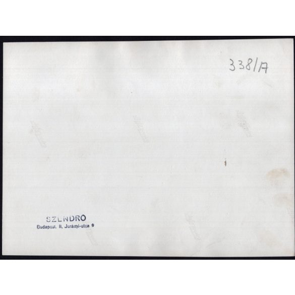 Nagyobb méret, Szendrő István fotóművészeti alkotása, Sétáló pár egy parkban (Margit-sziget?), 1930-as évek. Eredeti, pecséttel jelzett fotó, papírkép, Agfa Brovira papíron. 