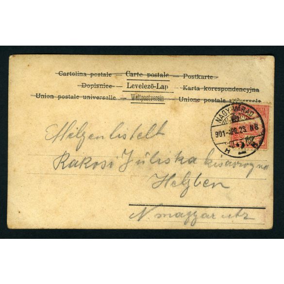 Csinos nő kombinéban, akt, Nagyváradon (Erdély) helyben küldve, helytörténet, monarchia, 1900-as évek, Eredeti képeslap fotó, papírkép.  