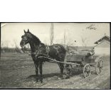 Lovaskocsi, homokfutó az Alföldön, ló, állat, jármű, közlekedés, Horthy-korszak, 1930-as évek, Eredeti fotó, papírkép.  