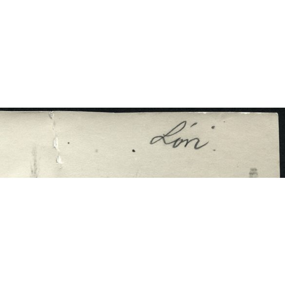 Lovaskocsi, homokfutó az Alföldön, ló, állat, jármű, közlekedés, Horthy-korszak, 1930-as évek, Eredeti fotó, papírkép.  