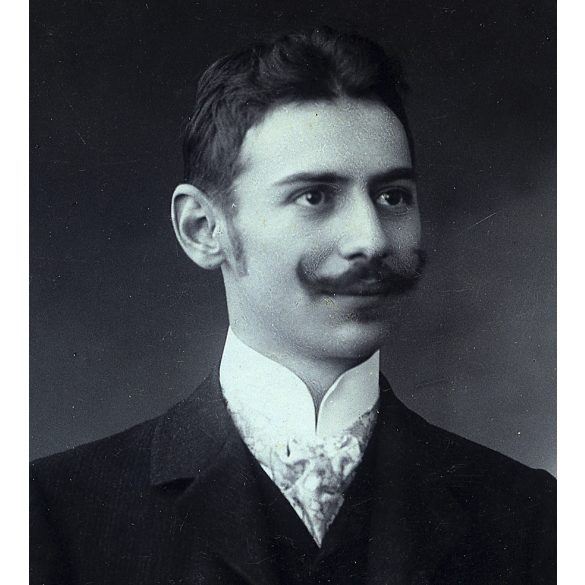 Joánovics Testvérek műterme, Kolozsvár, Erdély, elegáns férfi portréja, bajusz, monarchia,  1890-es évek, Eredeti CDV, vizitkártya fotó.   