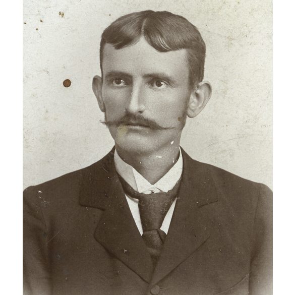 Naschitz László műterme, Lugos, Erdély, elegáns bajuszos férfi portréja, nyakkendő, monarchia,  1890-es évek, Eredeti CDV, vizitkártya fotó.  