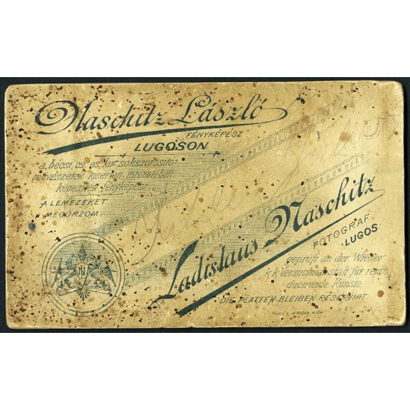 Naschitz László műterme, Lugos, Erdély, elegáns bajuszos férfi portréja, nyakkendő, monarchia,  1890-es évek, Eredeti CDV, vizitkártya fotó.  