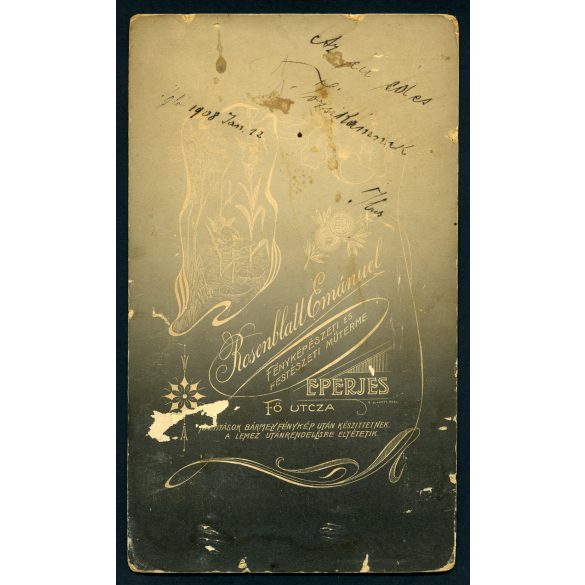 Nagyobb méret, Rosenblatt Emanuel műterme, Eperjes, Felvidék, elegáns hölgy gyönyörű ruhában, legyezővel,  monarchia, 1908., 1900-as évek, Eredeti kabinetfotó.  