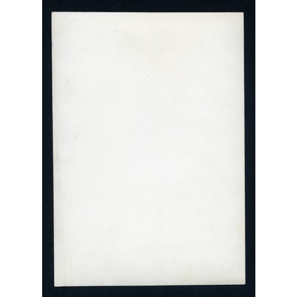 Vermes Mária hegedűművész fellépése, Rákosi fotó, Lenin szobor, kommunizmus, zene, 1950-es évek, Eredeti fotó, papírkép. 