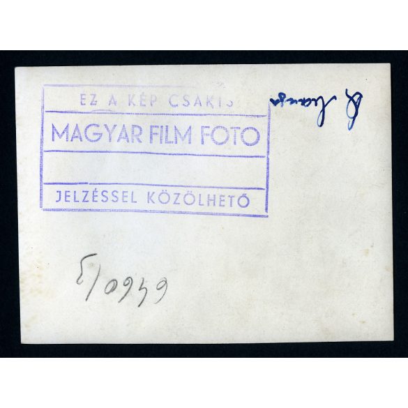 Hofherr, HSCS 30-35 „körmös” traktor szántás közben tehenekkel, jármű, mezőgazdaság, kommunizmus, 1950-es évek. Eredeti fotó, Magyar Film Foto pecsétjével jelzett papírkép.