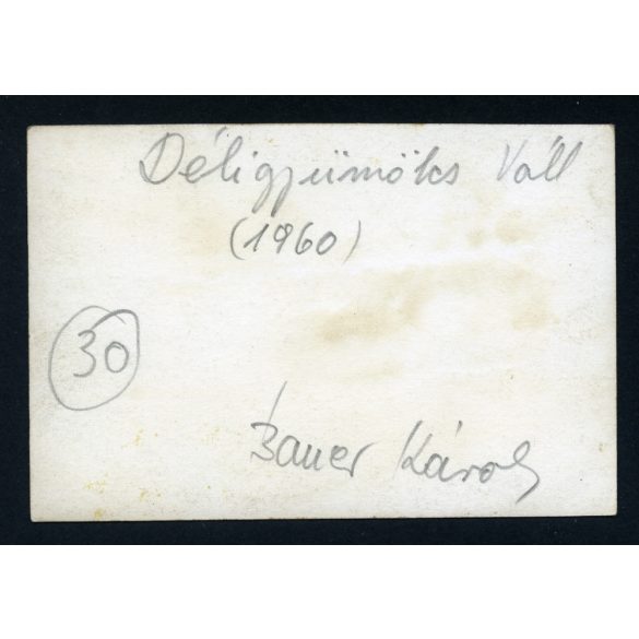 Ritka Warsawa (Warszawa) pick-up autó, a Déligyümölcs Vállalat gépkocsija, teherautó, jármű, közlekedés, szocializmus, 1960-as évek, Eredeti fotó, hátulján feliratozott papírkép.  