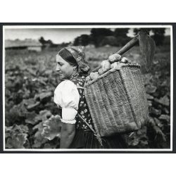   Parasztasszony kapával, háti táskával, burgonyával, mezőgazdaság, népviselet, Hont vármegye, Horthy-korszak, 1940-es évek, Eredeti fotó, papírkép.   méret megközelítőleg (centiméterben): 6 x 8 Használ
