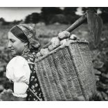 Parasztasszony kapával, háti táskával, burgonyával, mezőgazdaság, népviselet, Hont vármegye, Horthy-korszak, 1940-es évek, Eredeti fotó, papírkép.   méret megközelítőleg (centiméterben): 6 x 8 Használ