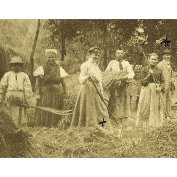 Székelykeresztúr, Erdély, Kuppis Géza portáján, mezőgazdaság, betakarítás, monarchia, 1890-es évek, Eredeti kabinetfotó, hátulján nevekkel, feliratozva. 