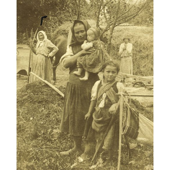 Székelykeresztúr, Erdély, Kuppis Géza portáján, mezőgazdaság, betakarítás, monarchia, 1890-es évek, Eredeti kabinetfotó, hátulján nevekkel, feliratozva. 