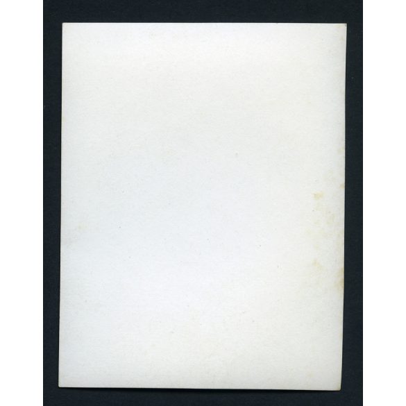 Fényes Tamás munkája, rőzsehordó asszony, Pusztafalu, falu, vidék, paraszt, munka, mezőgazdaság, néprajz, Horthy-korszak, Borsod-Abaúj-Zemplén megye, 1930-as évek, helytörténet, Eredeti jelzetlen fotó