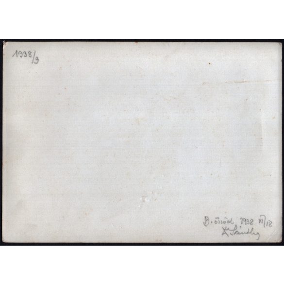 Nagyobb méret! Erdélyi ferences szerzetesek a szőlőnél, földbirtokos, Balatonőszöd, Somogy megye, Horthy-korszak, szerzetesek, egyház, vallás, helytörténet, 1938. szeptember, 1930-es évek, 