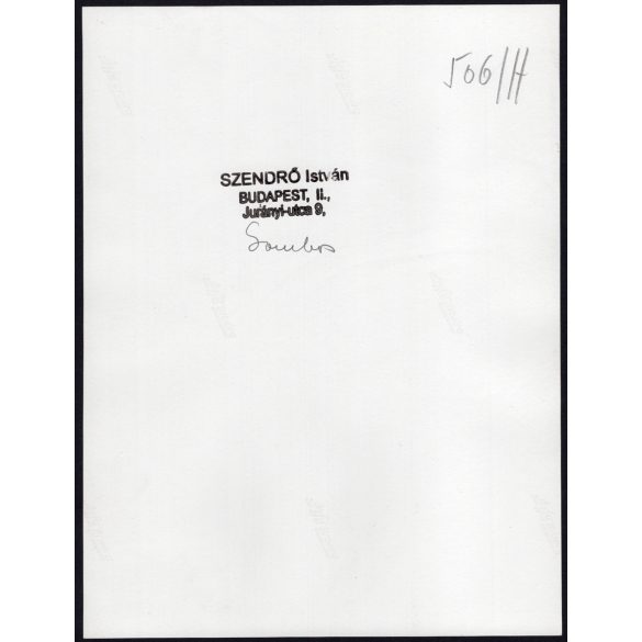 Nagyobb méret, Szendrő István fotóművészeti alkotása, lányok népviseletben, Gyöngyösbokréta mozgalom, Gombos, Szerbia, népviselet, kendő, 1930-as évek. 