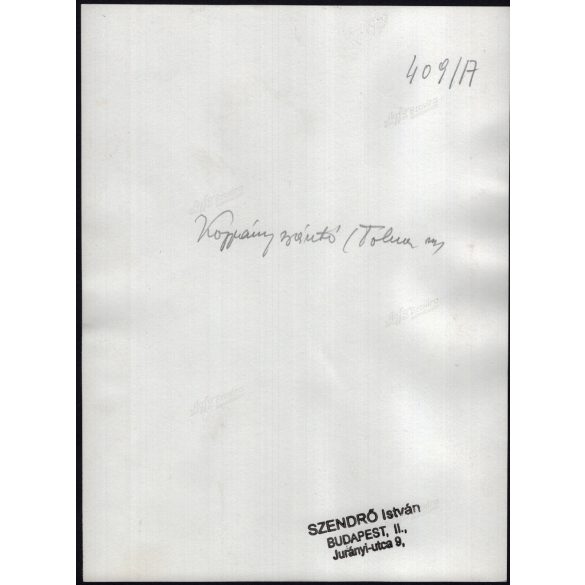 Nagyobb méret, Szendrő István fotóművészeti alkotása, fiatal hölgy üveggel a fején, koppányszántói népviseletben, Koppányszántó, Tolna megye, Gyöngyösbokréta mozgalom, népviselet, üveg, 