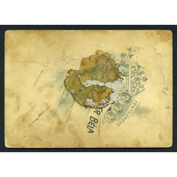 Sinayberger műterem, Budapest, gyerekek, testvérek portréja, matrózruha, monarchia, helytörténet, 1890-es évek, Eredeti kabinetfotó.