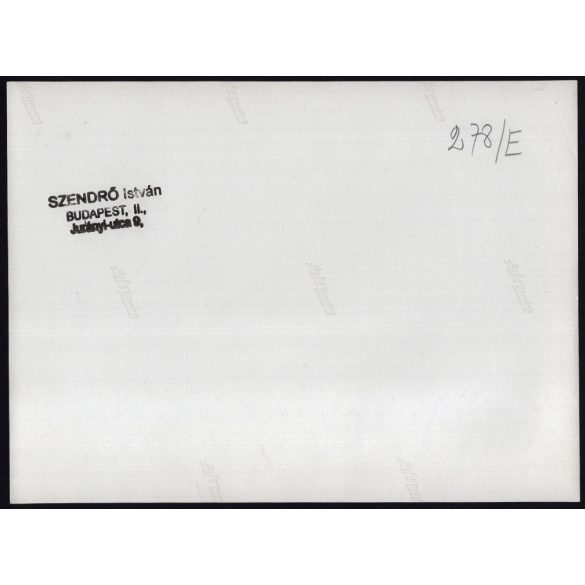 Nagyobb méret, Szendrő István fotóművészeti alkotása, szürkemarhák, szarvasmarhák a vízben, tanya, állatok, 1930-as évek. Eredeti, pecséttel jelzett fotó, papírkép, Agfa Brovira papíron. Dekorációnak,