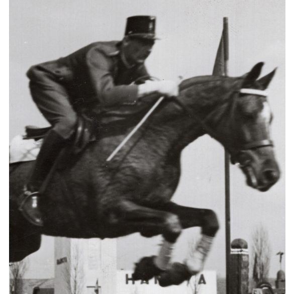 Nagyobb méret, Szendrő István fotóművészeti alkotása, díjugratás Budapesten, Bujnovszky István, a verseny győztese a lovon, lóverseny, lovassport, állat, 1930-as évek. 