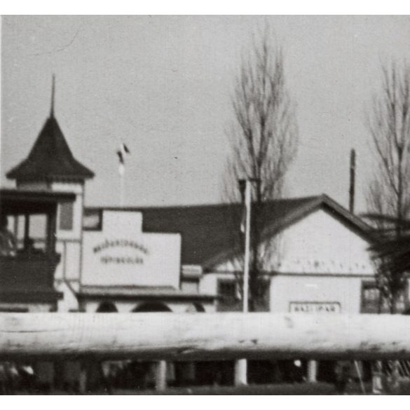 Nagyobb méret, Szendrő István fotóművészeti alkotása, díjugratás Budapesten, Bujnovszky István, a verseny győztese a lovon, lóverseny, lovassport, állat, 1930-as évek. 