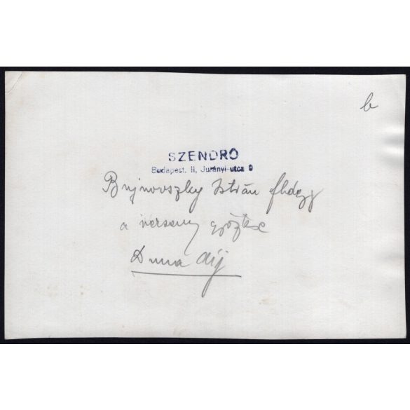 Nagyobb méret, Szendrő István fotóművészeti alkotása, díjugratás Budapesten, Bujnovszky István, a verseny győztese a lovon, lóverseny, lovassport, állat, 1930-as évek. 